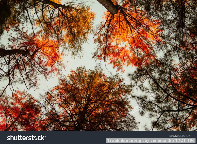 Tranh dán tường cây cối mùa thu T321-106